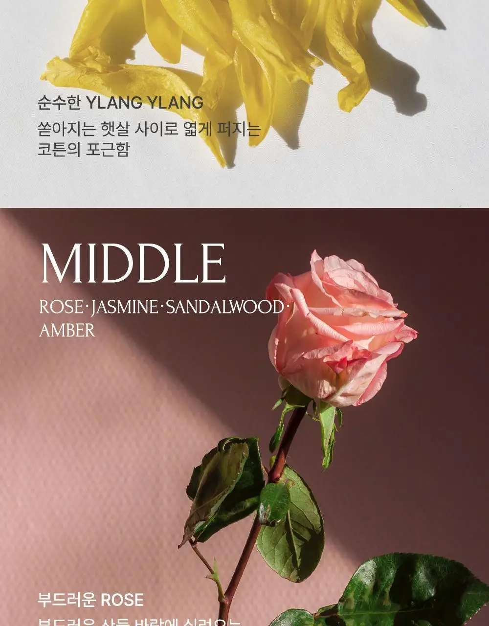 [NEW] 라임유 로맨틱 우디 고체향수 3g 상세페이지 5